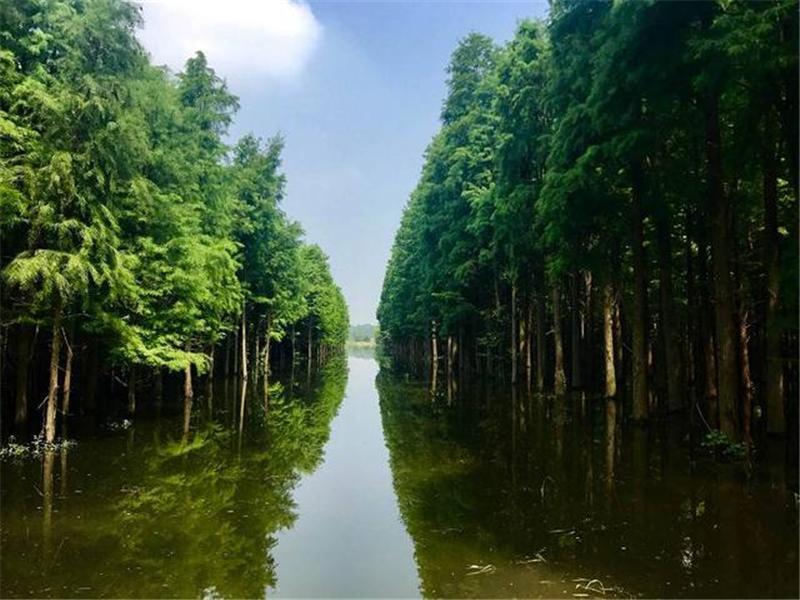 武漢出發(fā)仙桃2日自駕游：京山空山洞-莫愁村-沙洋油菜花-仙桃夢(mèng)里水鄉(xiāng)2天踏青游