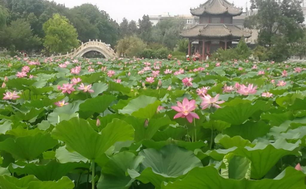 大興自駕游路線(xiàn)推薦_攻略