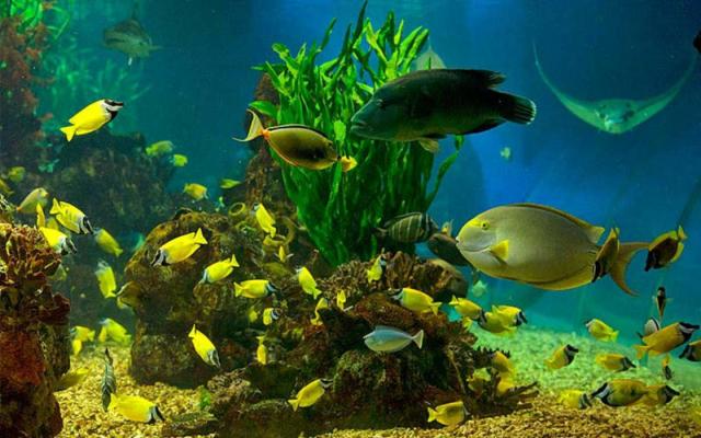 北京出發(fā)遼東半島5日自駕游：鴨綠江風(fēng)光，大連海洋公園5日自駕