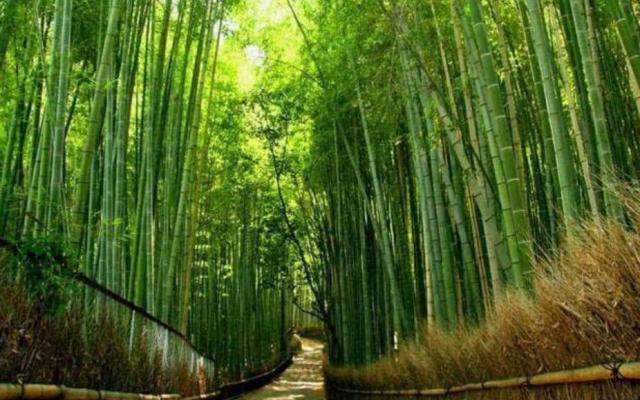 北京出發(fā)河南6日自駕：秋溝、地坑院、死海運城鹽湖、王府竹海6日自駕