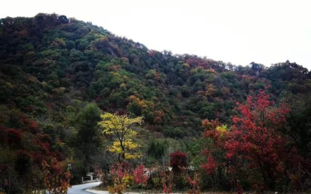 北京出發(fā)東北6日自駕游：關(guān)門(mén)山森林公園-本恒公路-虎山長(zhǎng)城-全程五星酒店6日自駕游